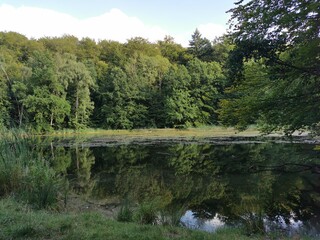 Reflection in a lake in Germany