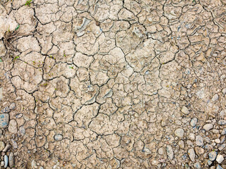 texture of dried cracked surface layer of the earth