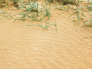 closeup of sand pattern of a beach in the summer