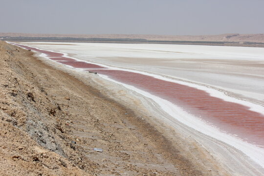 pink lake Chott el Djerid
 