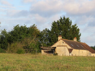 beautiful rural estate very old green meadow for cows