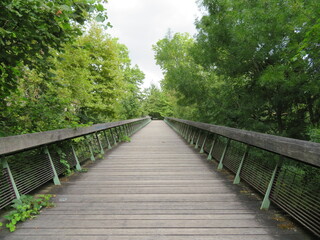 Obraz premium beautiful wooden walkway across a river coming from a very safe bridge