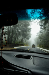Carretera pachuca hidalgo en mineral el chico con arboles y neblina alrededor