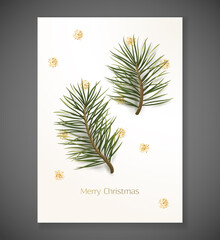 Merry Christmas elegant  greeting cards with realistic pine branch and golden decor. Minimalistic trendy design. Vector illustration. Happy New Year background