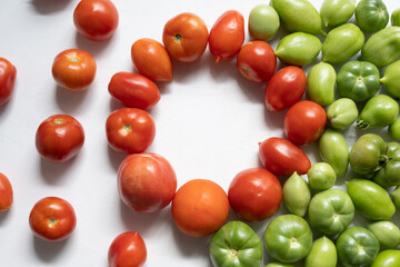 Optimal green and red tomatoes in the foreground.