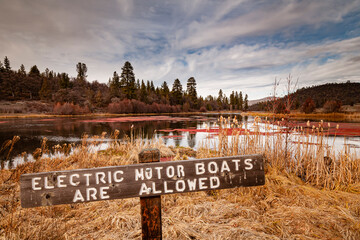 Wooden sign at Baum Lake  advising people that electric powered vessels are permitted.  Shot in mid winter with moody clouds overhead and moss on the water.