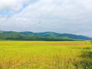 Fototapeta premium Beautiful landscape of the Caucasian mountains in a sunny spring day. Krasnodar Territory, Russia.