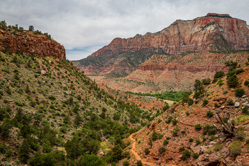 Watchman Trail View Zion National Park