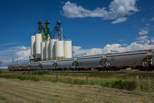 Grain bins in Grande Prairie with freight train in front