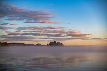 fog on the lake through green reeds at sunrise