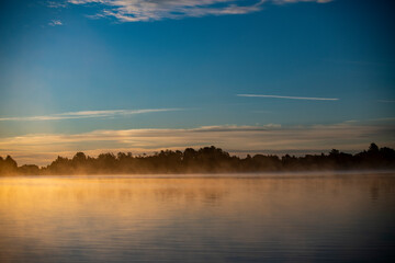 fog on the lake through green reeds at sunrise