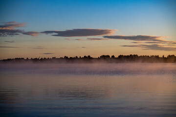 Fototapeta na wymiar fog on the lake through green reeds at sunrise