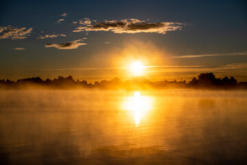 fog on the lake through green reeds at sunrise