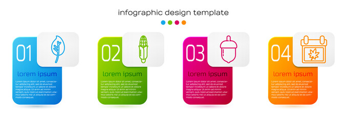 Set line Leaf or leaves, Corn, Acorn and Calendar with autumn leaves. Business infographic template. Vector. © Vadim