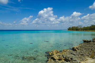 Beautiful and Paradisiacal Beach with Calm Turquoise Waters on a Sunny Day