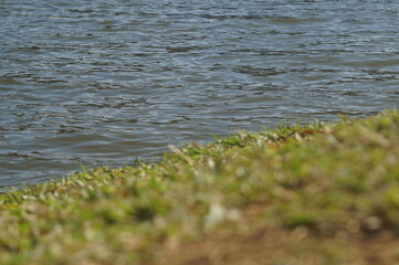 as águas de um belo e calmo lago azul 