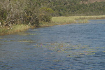 as águas de um belo e calmo lago azul com uma floresta ao fundo