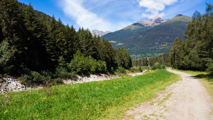 Alpine trail in summer time in a sunny day