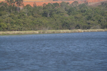 as águas de um belo e calmo lago azul com uma floresta ao fundo