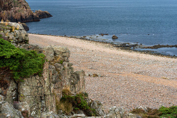 Hovs hallar nature reserve on the Swedish west coast during summer in Scania, Sweden.