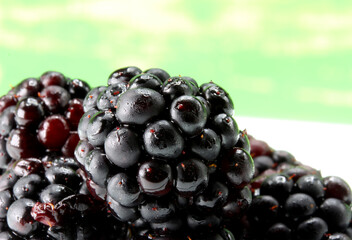 blackberry on a green background