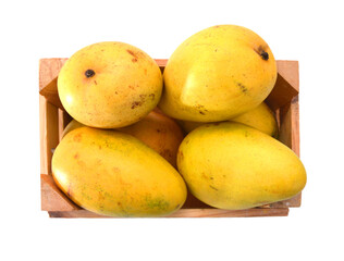 Yellow mango isolated in wooden crateon a white background
