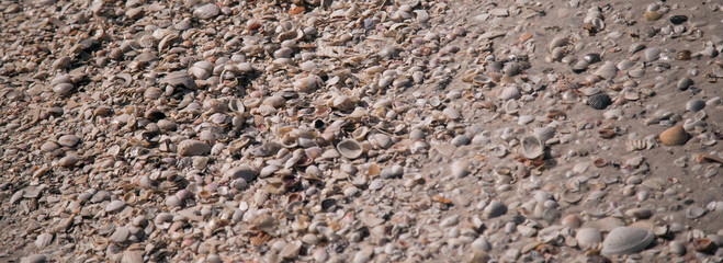 Puerto rico food and sites old san juan 
