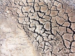texture of dried cracked surface layer of the earth