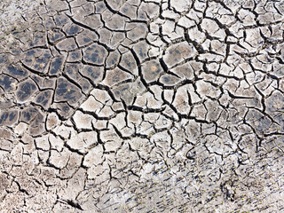 texture of dried cracked surface layer of the earth