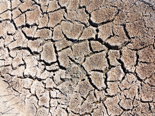 texture of dried cracked surface layer of the earth