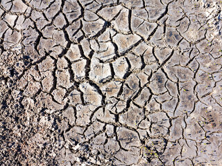 texture of dried cracked surface layer of the earth