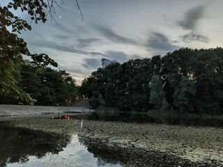 Evening on a lake