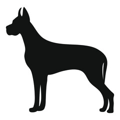 Big black dog on a white background