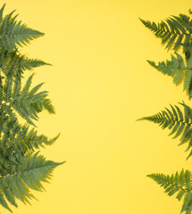 Fototapeta na wymiar Fern leaves on both sides of the yellow background.Horizontal placement. Place for copy space