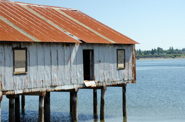 Old shack near Tongue  Point with White Rock in the background