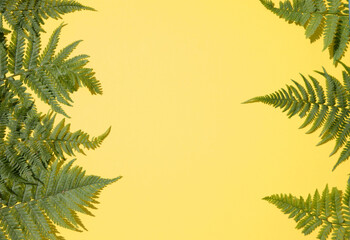 Fototapeta na wymiar Fern leaves on both sides of the yellow background.Horizontal placement. Place for copy space