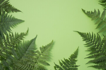 Fern leaves form a frame around the green background. Place for copy space
