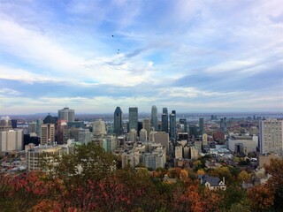 Fototapeta na wymiar Skyline of Montréal 