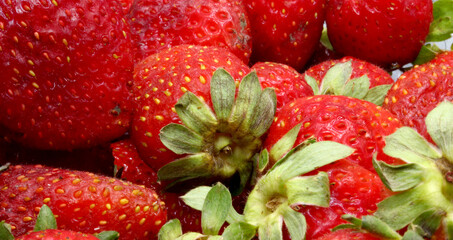 close-up of organic and fresh strawberry