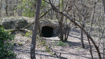 cave in the forest