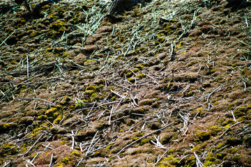 Background as a texture from a repeating pattern