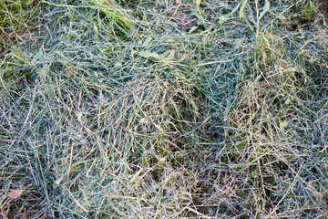 Background as a texture from a repeating pattern