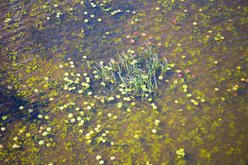 Background as a texture from a repeating pattern