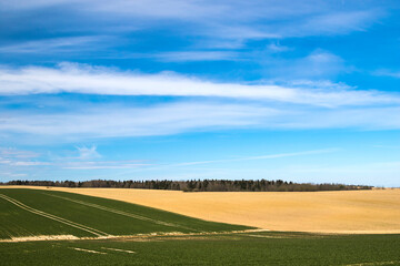 Rural landscape at spring, nature background
