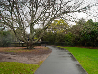 Footpath Through A Park