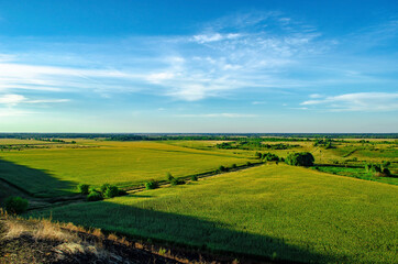 Fototapeta na wymiar Rural landscape with field of crops