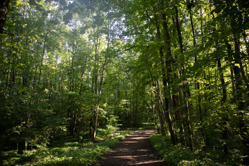 Landscape of Russian nature. Beautiful view