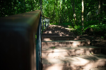 Photo Nature and architecture in the city. Beautiful views. Pushkin City, Russia