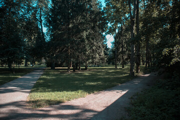 Photo Nature and architecture in the city. Beautiful views. Pushkin City, Russia