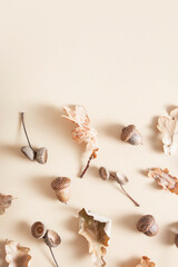 Fallen oak leaves, acorns and acorn caps on a beige background. Autumn monochrome pattern with copy space